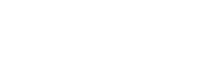 Signature Travel Network